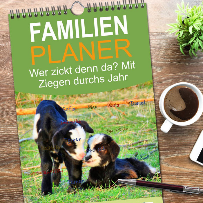 Wer zickt denn da? Mit Ziegen durchs Jahr (CALVENDO Familienplaner 2026)
