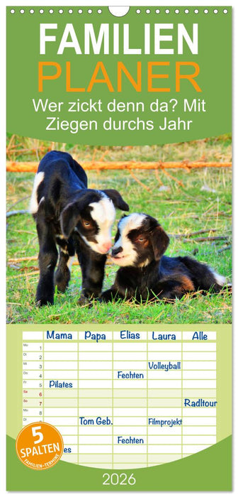 Wer zickt denn da? Mit Ziegen durchs Jahr (CALVENDO Familienplaner 2026)
