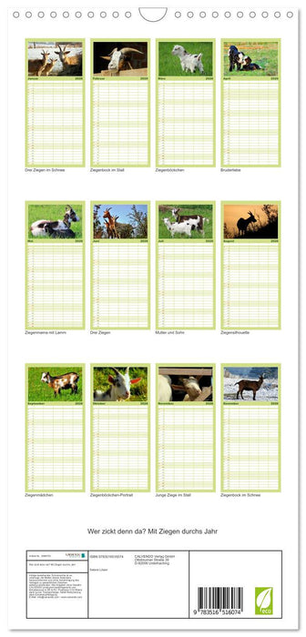 Wer zickt denn da? Mit Ziegen durchs Jahr (CALVENDO Familienplaner 2026)