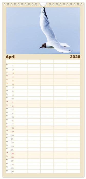 Sankt Peter-Ording. Sonne - Strand - Meer (CALVENDO Familienplaner 2026)