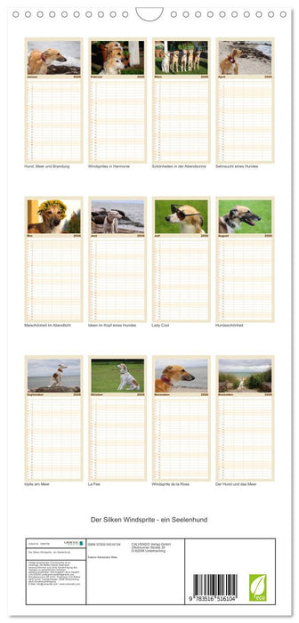 Der Silken Windsprite - ein Seelenhund (CALVENDO Familienplaner 2026)