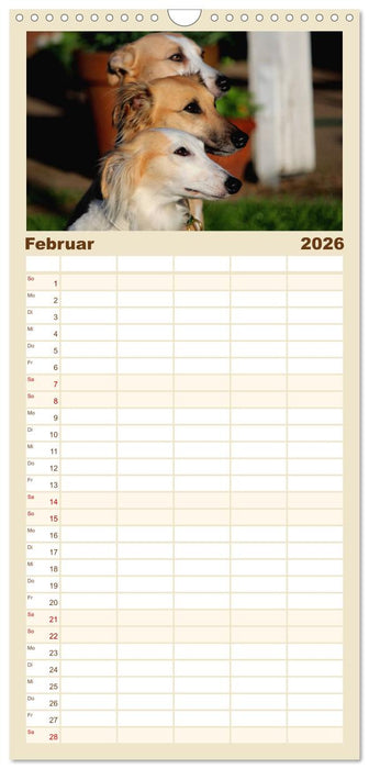 Der Silken Windsprite - ein Seelenhund (CALVENDO Familienplaner 2026)