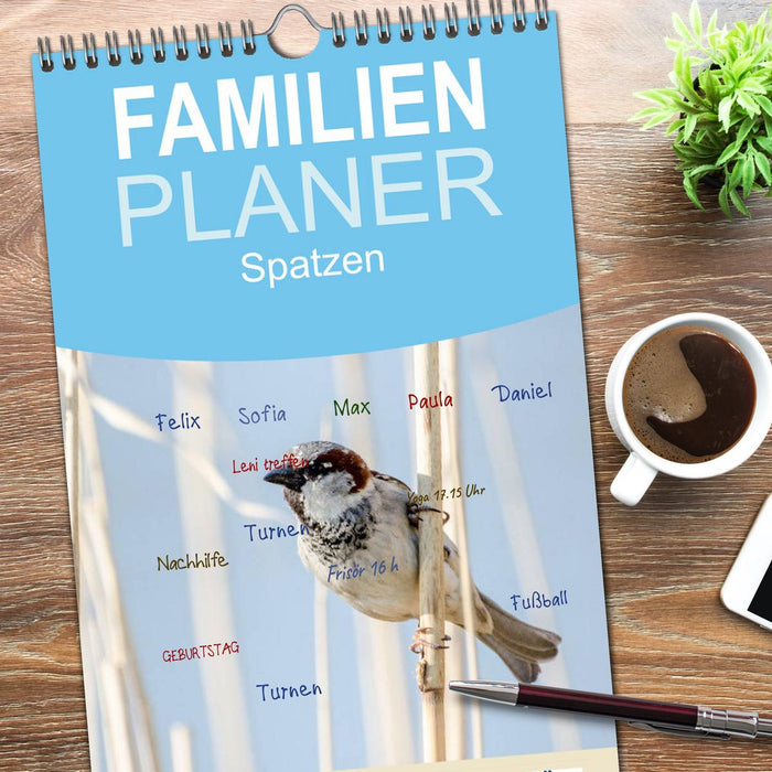 Spatzen (CALVENDO Familienplaner 2026)