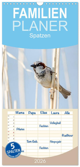 Spatzen (CALVENDO Familienplaner 2026)