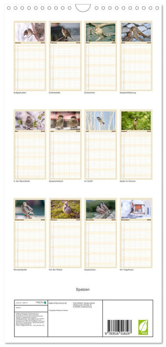 Spatzen (CALVENDO Familienplaner 2026)