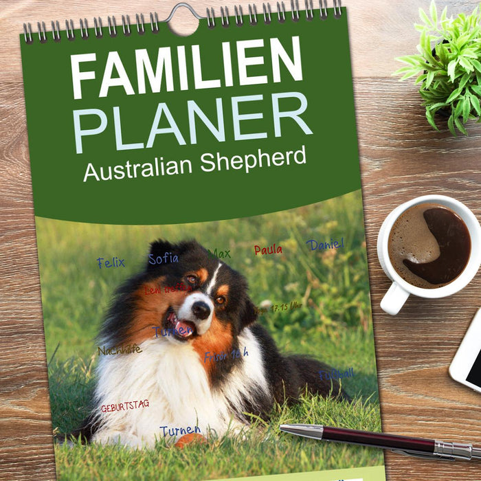 Australian Shepherd - Hütehunde mit Familienanschluss (CALVENDO Familienplaner 2026)