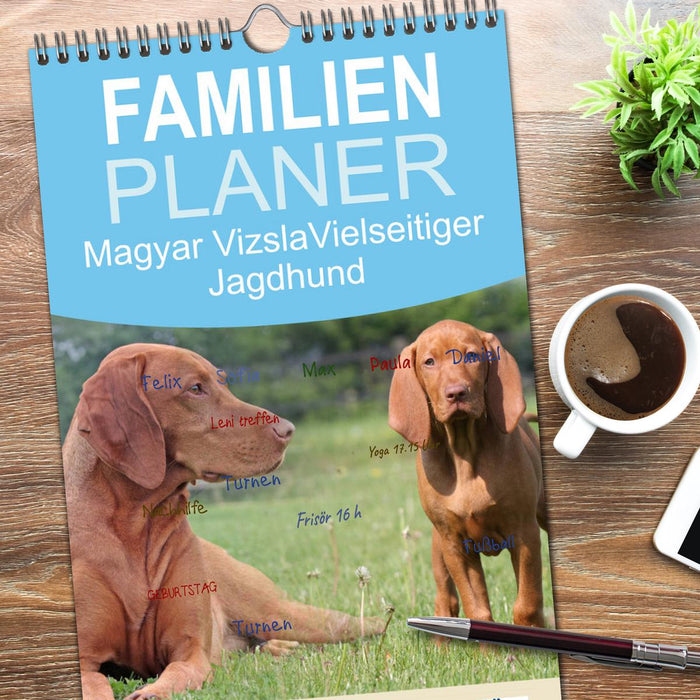 Magyar Vizsla - Vielseitiger Jagdhund (CALVENDO Familienplaner 2026)