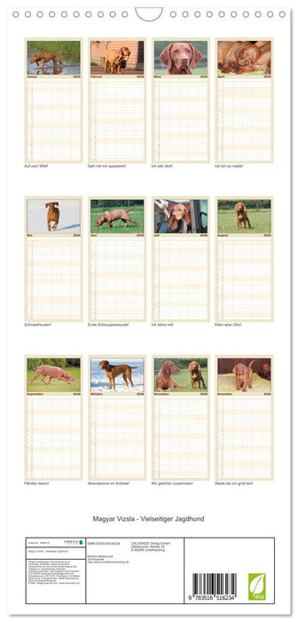 Magyar Vizsla - Vielseitiger Jagdhund (CALVENDO Familienplaner 2026)
