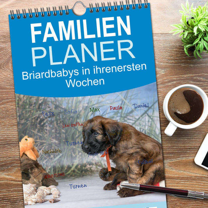 Briardbabys in ihren ersten Wochen (CALVENDO Familienplaner 2026)