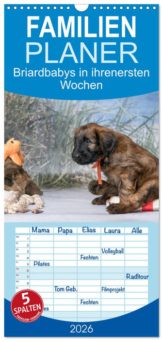 Briardbabys in ihren ersten Wochen (CALVENDO Familienplaner 2026)