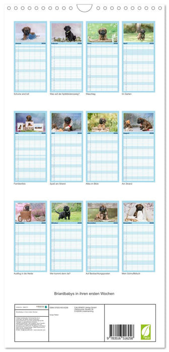 Briardbabys in ihren ersten Wochen (CALVENDO Familienplaner 2026)