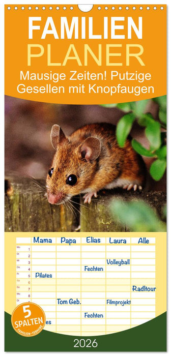 Mausige Zeiten! Putzige Gesellen mit Knopfaugen (CALVENDO Familienplaner 2026)