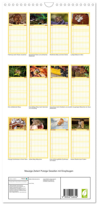 Mausige Zeiten! Putzige Gesellen mit Knopfaugen (CALVENDO Familienplaner 2026)