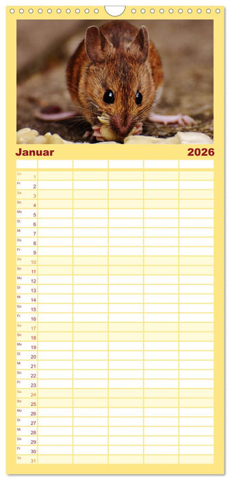 Mausige Zeiten! Putzige Gesellen mit Knopfaugen (CALVENDO Familienplaner 2026)