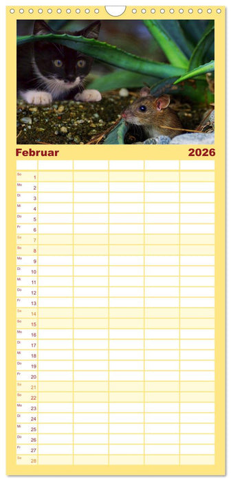 Mausige Zeiten! Putzige Gesellen mit Knopfaugen (CALVENDO Familienplaner 2026)