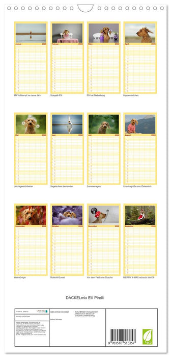 DACKELmix Elli Pirelli (CALVENDO Familienplaner 2026)