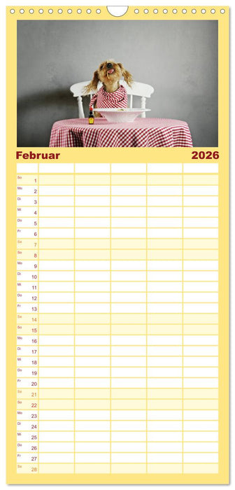 DACKELmix Elli Pirelli (CALVENDO Familienplaner 2026)