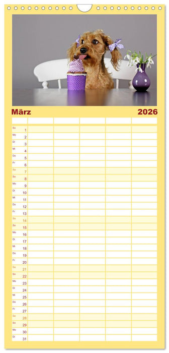 DACKELmix Elli Pirelli (CALVENDO Familienplaner 2026)