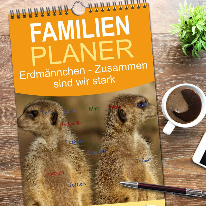 Erdmännchen - Zusammen sind wir stark (CALVENDO Familienplaner 2026)