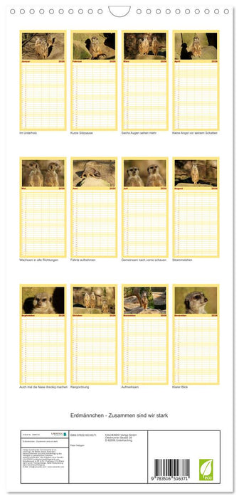 Erdmännchen - Zusammen sind wir stark (CALVENDO Familienplaner 2026)