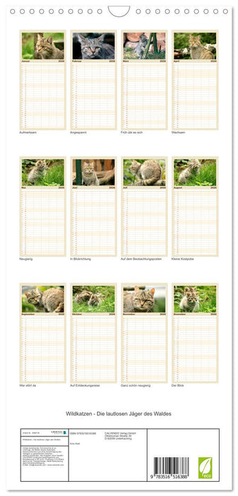 Wildkatzen - Die lautlosen Jäger des Waldes (CALVENDO Familienplaner 2026)