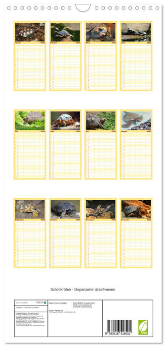 Schildkröten - Gepanzerte Urzeitwesen (CALVENDO Familienplaner 2026)