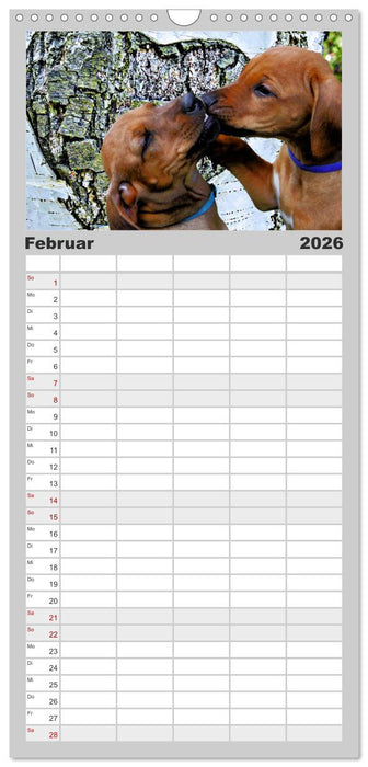 Rhodesian Ridgeback - Moments (CALVENDO Familienplaner 2026)