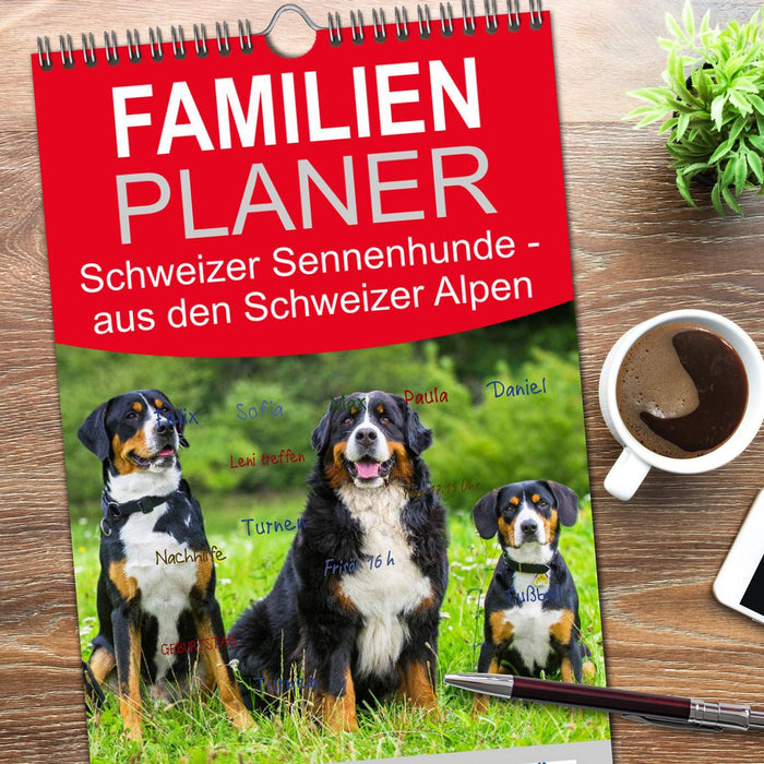 Schweizer Sennenhunde - aus den Schweizer Alpen (CALVENDO Familienplaner 2026)