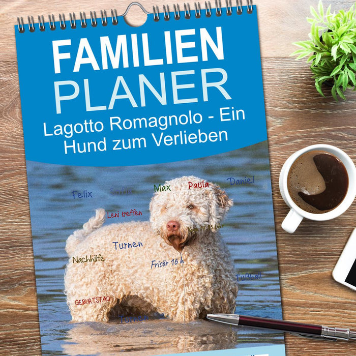 Lagotto Romagnolo - Ein Hund zum Verlieben (CALVENDO Familienplaner 2026)