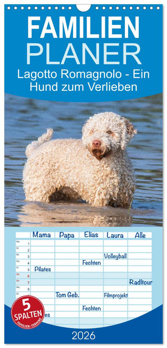 Lagotto Romagnolo - Ein Hund zum Verlieben (CALVENDO Familienplaner 2026)
