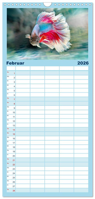 Fischwelt - Artwork (CALVENDO Familienplaner 2026)