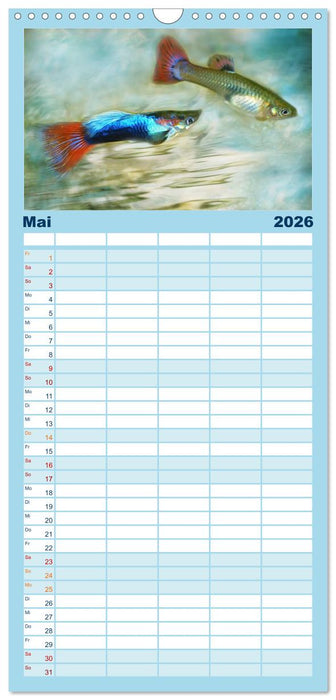 Fischwelt - Artwork (CALVENDO Familienplaner 2026)