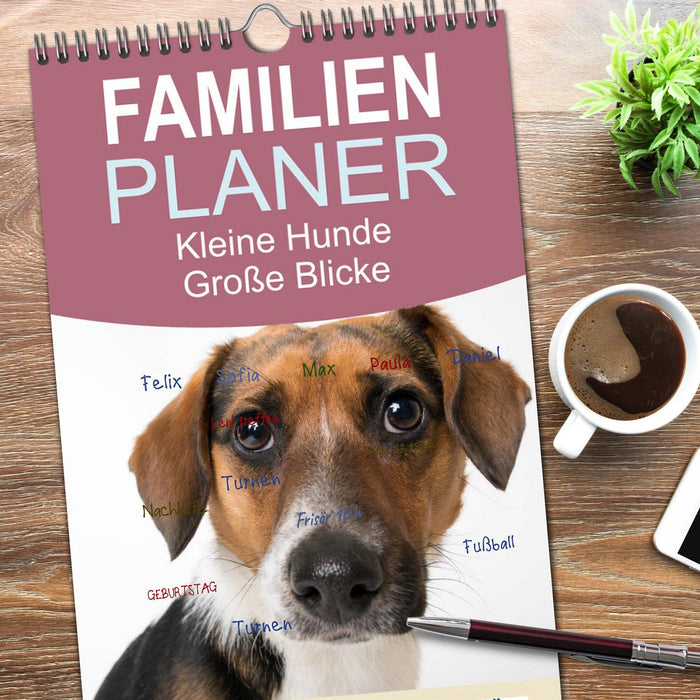 Kleine Hunde - Große Blicke (CALVENDO Familienplaner 2026)