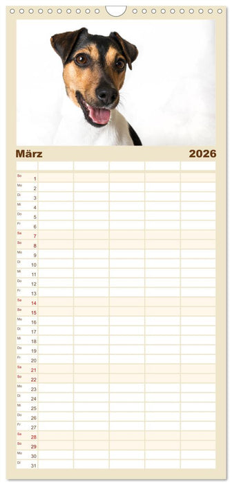 Kleine Hunde - Große Blicke (CALVENDO Familienplaner 2026)