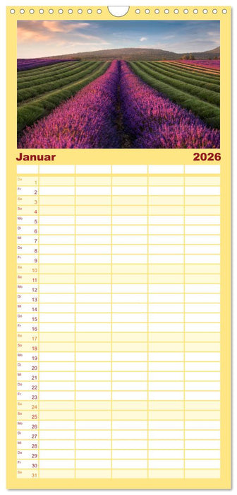 Provence, Lavendelzeit in Südfrankreich (CALVENDO Familienplaner 2026)