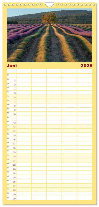 Provence, Lavendelzeit in Südfrankreich (CALVENDO Familienplaner 2026)