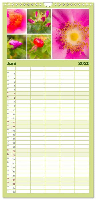 Sehnsucht Dänemark - Danmark (CALVENDO Familienplaner 2026)