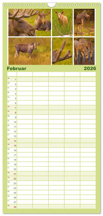 Sehnsucht Schweden - Sverige (CALVENDO Familienplaner 2026)