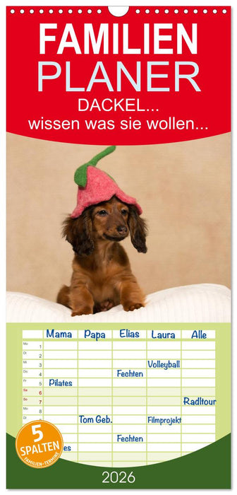 DACKEL... wissen was sie wollen... (und was nicht...) (CALVENDO Familienplaner 2026)