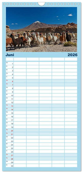 Bolivien Andenlandschaften (CALVENDO Familienplaner 2026)