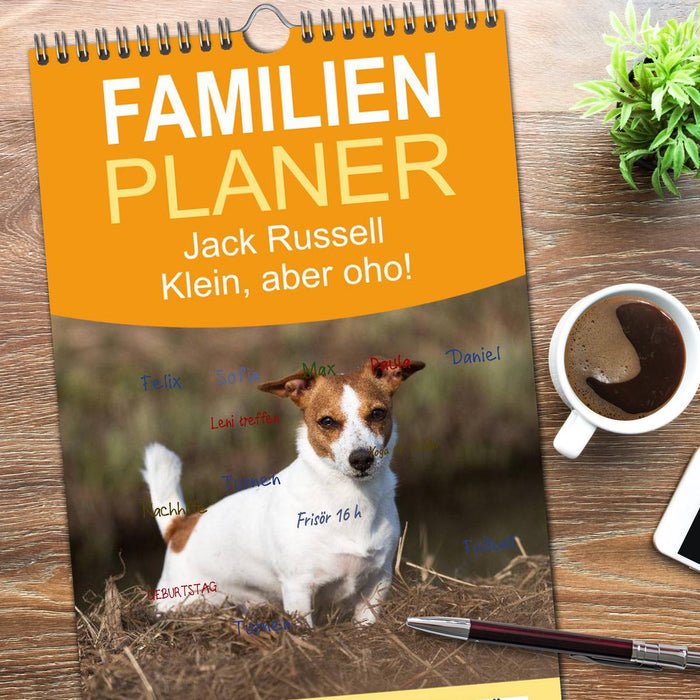 Jack Russell - Klein, aber oho! (CALVENDO Familienplaner 2026)