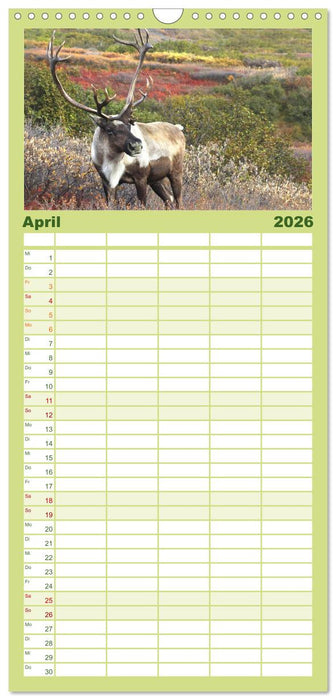 Alaska und Kanada (CALVENDO Familienplaner 2026)