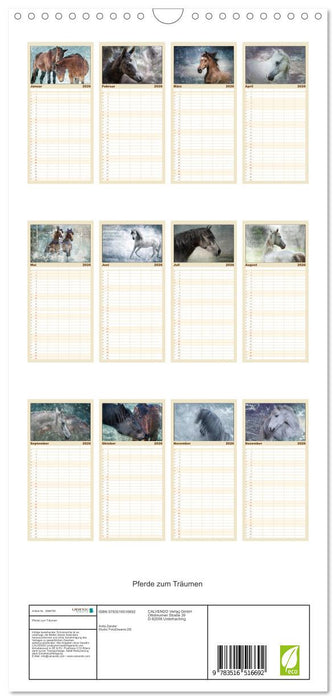 Pferde zum Träumen (CALVENDO Familienplaner 2026)