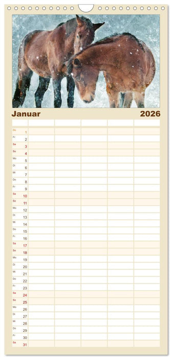 Pferde zum Träumen (CALVENDO Familienplaner 2026)