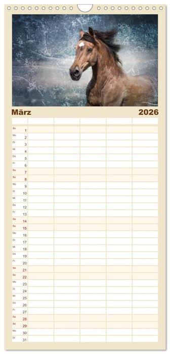 Pferde zum Träumen (CALVENDO Familienplaner 2026)