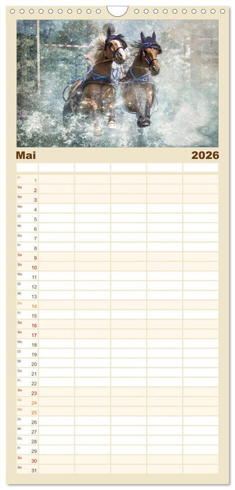 Pferde zum Träumen (CALVENDO Familienplaner 2026)