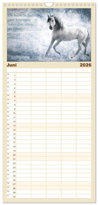 Pferde zum Träumen (CALVENDO Familienplaner 2026)