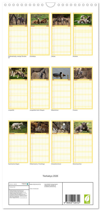 Tierbabys 2026 (CALVENDO Familienplaner 2026)