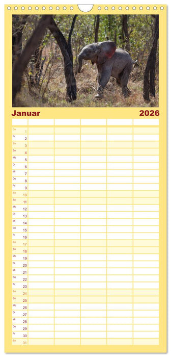 Tierbabys 2026 (CALVENDO Familienplaner 2026)