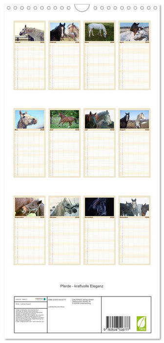 Pferde - kraftvolle Eleganz (CALVENDO Familienplaner 2026)